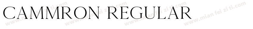 Cammron Regular字体转换